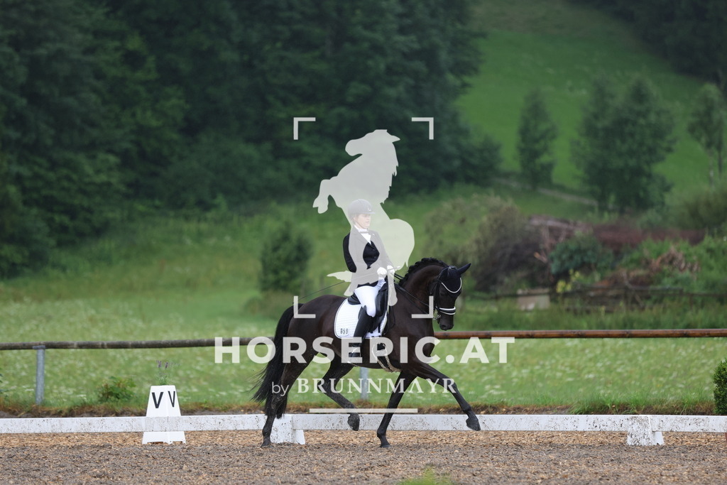 0P6A9705 | Willkommen bei Brunnmayr - Design & Fotografie – Ihrem Spezialisten für Reitturniere und Pferdeveranstaltungen in Oberösterreich, Salzburg und Bayern! Seit über 17 Jahren sind wir leidenschaftlich dabei.