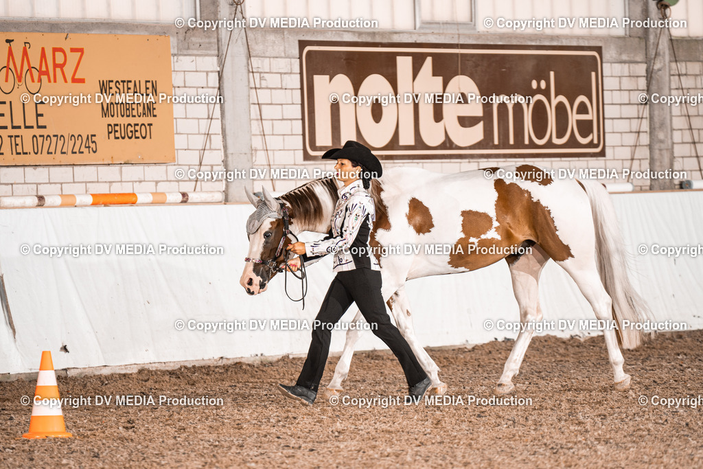 ZH200246 | dv-media-shop - Realisiert mit Pictrs.com