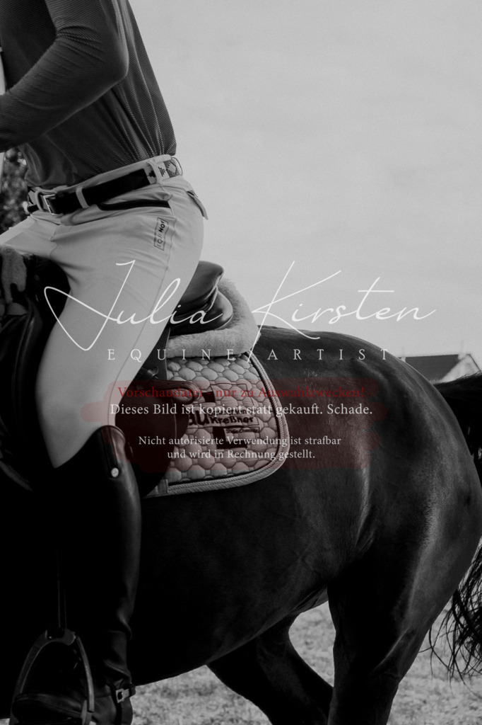 DSC_1049 | Pferde- und Turnierfotografie in Westsachsen. Pferdeportraits, Auftragszeichnungen und intuitive Kunst.
