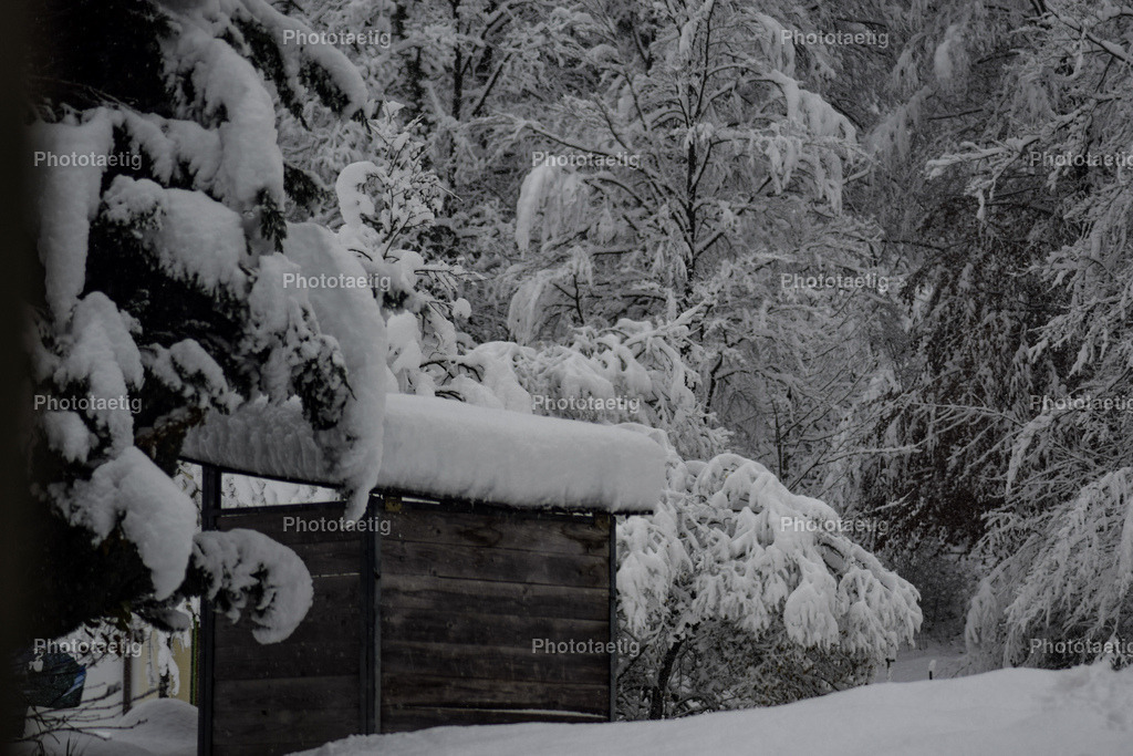 IMG_5048 | phototaetig