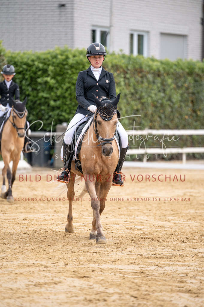 Schugtsche-Aluta25-40.DressurprfA_-363 | Schugtsche Fotografie - Realisiert mit Pictrs.com
