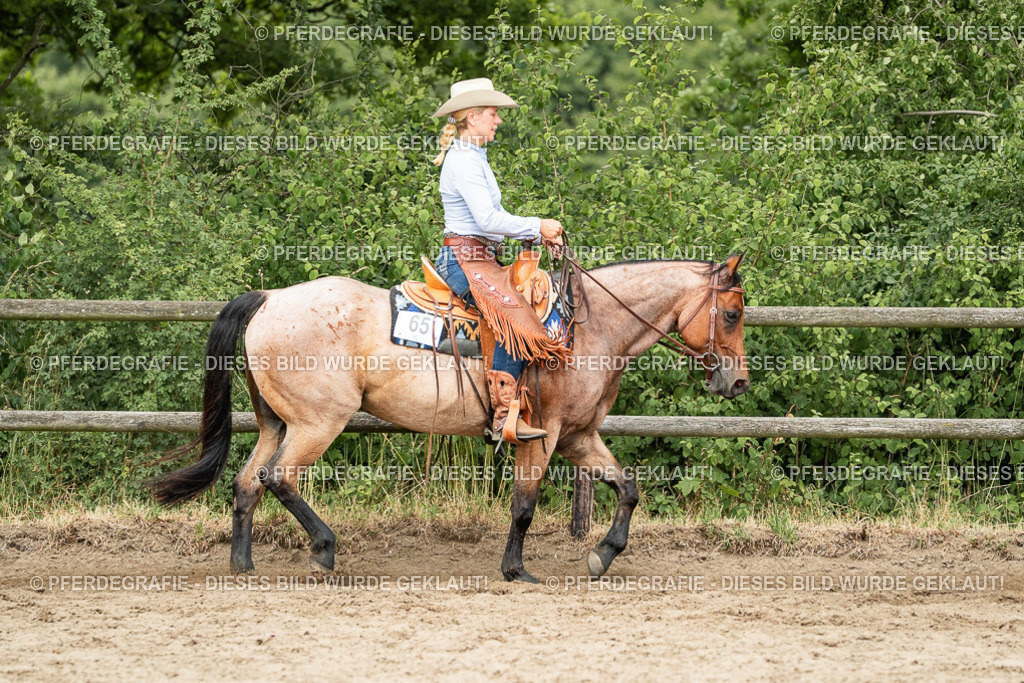 DSC04330 | Pferdegrafie