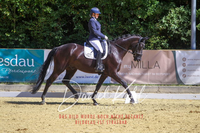 DKP42065 | Turniersportfotografie; Pferdefotografie; Dressurfotografie