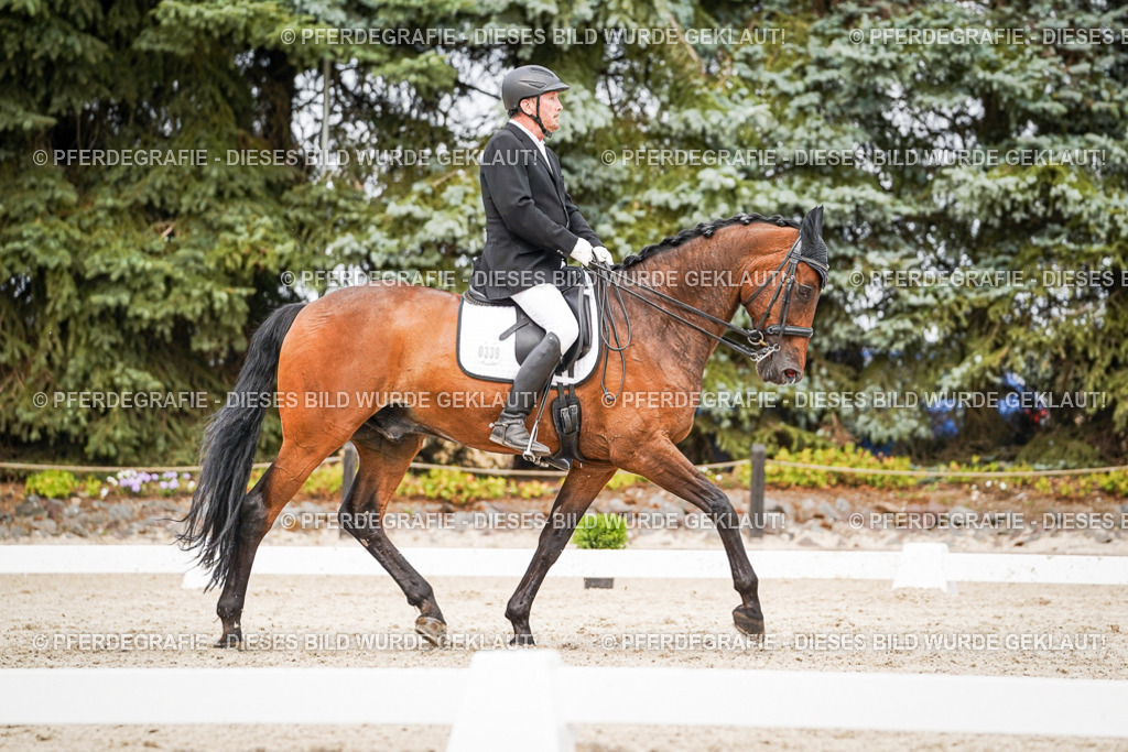 DSC07212 | Pferdegrafie