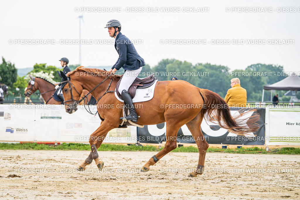 DSC09526 | Pferdegrafie