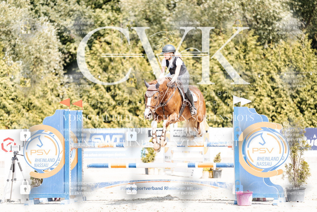 CK900990 | Turnierfotografie Pferdefotografie Trier Rheinland-Pfalz Pferdesport Reitsport Tierfotografie Sportfotografie Pferdevideo Pferdevideografie Equestrianvideography equestrianphotography  - Realisiert mit Pictrs.com