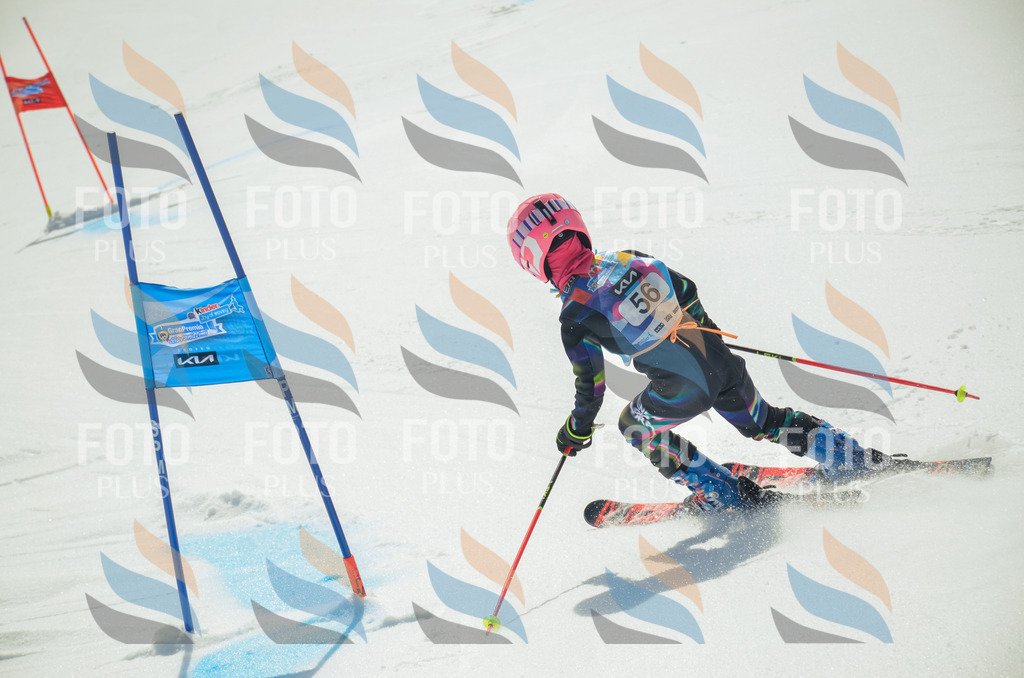 _ELE5266 | holidayphoto