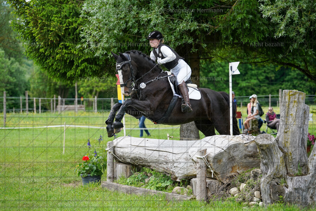20240518-FAH03992 | Turnierbilder von Niederseon, Turnierfotografen Bayern, Fotoagentur Herrmann, Geländebilder, Reitsportfotografie
