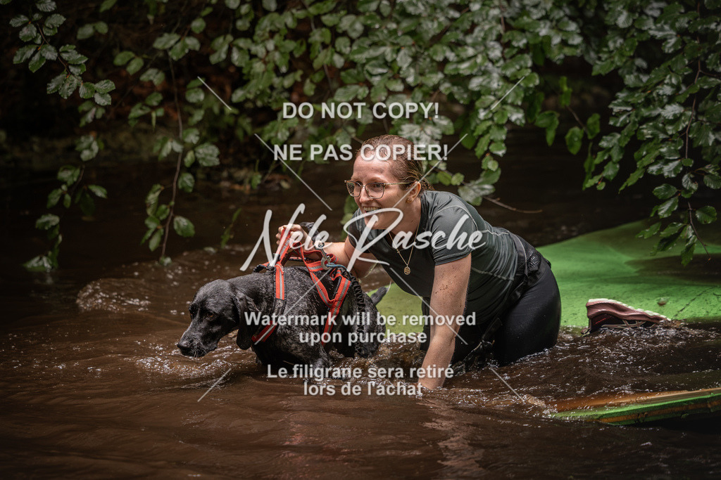 nelerasche_Wingst_Sa1330-1400_301 | nelerasche