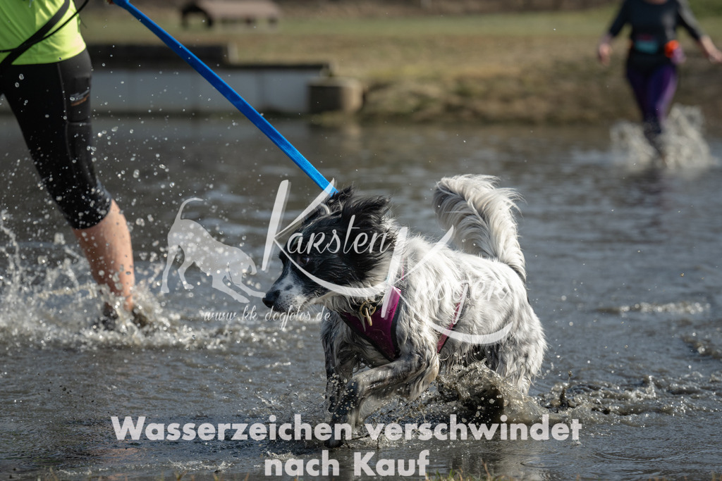 1303_ZZ94276 | kk-dogfotos