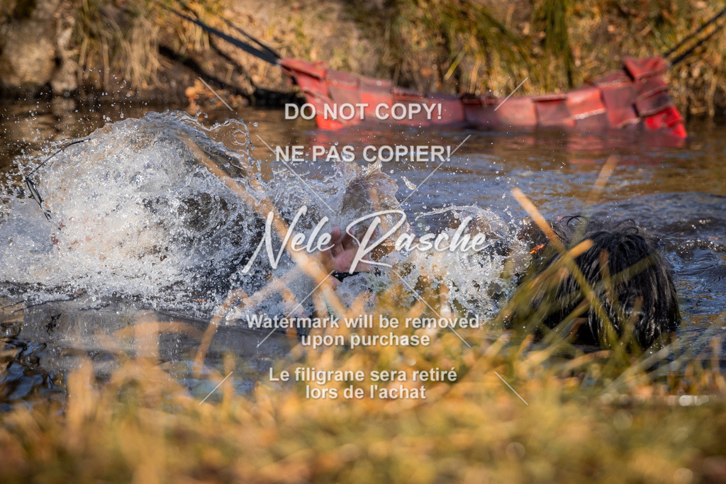 nelerasche_FS0900-1000_66 | nelerasche