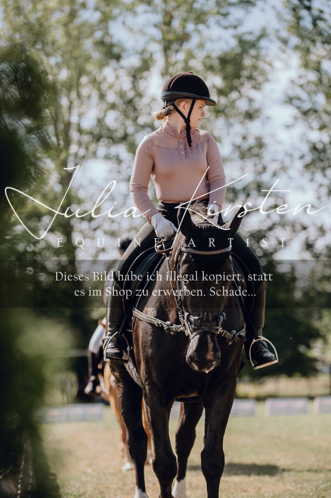 DSC_7145 | Pferde- und Turnierfotografie in Westsachsen. Pferdeportraits, Auftragszeichnungen und intuitive Kunst.