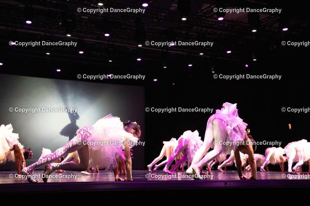 GPHY4434 | DanceGraphy - Realisiert mit Pictrs.com