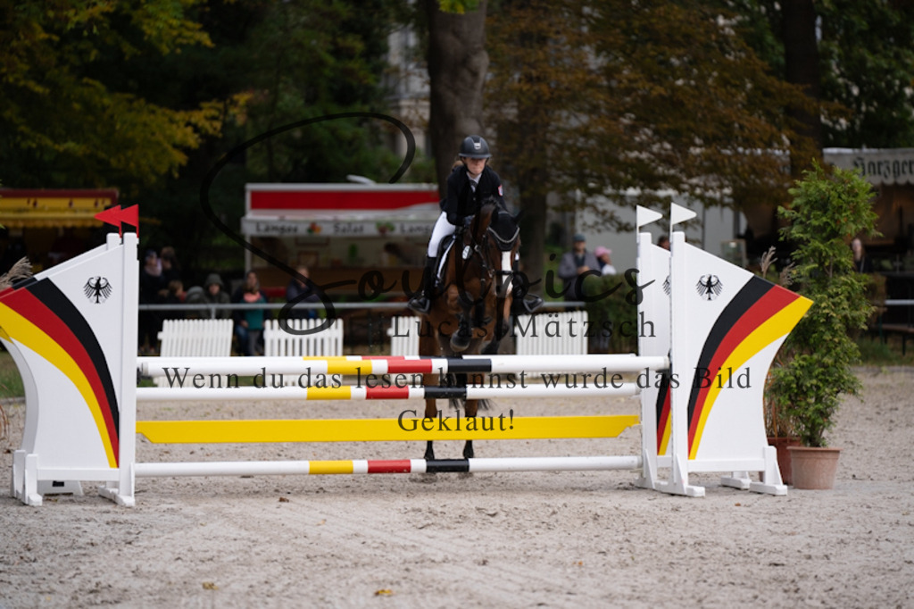 A7V00572 | Pferdefotograf