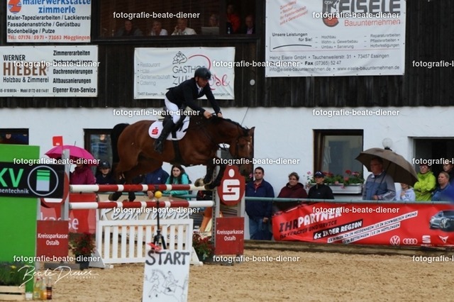 OHT2461 | Fotografie, Tiere, Hunde, Katzen, Pferde, Sportfotografie, Fotosession, Tierfotografie, Turnierfotografie, Fotografin, Fotograf - Realisiert mit Pictrs.com