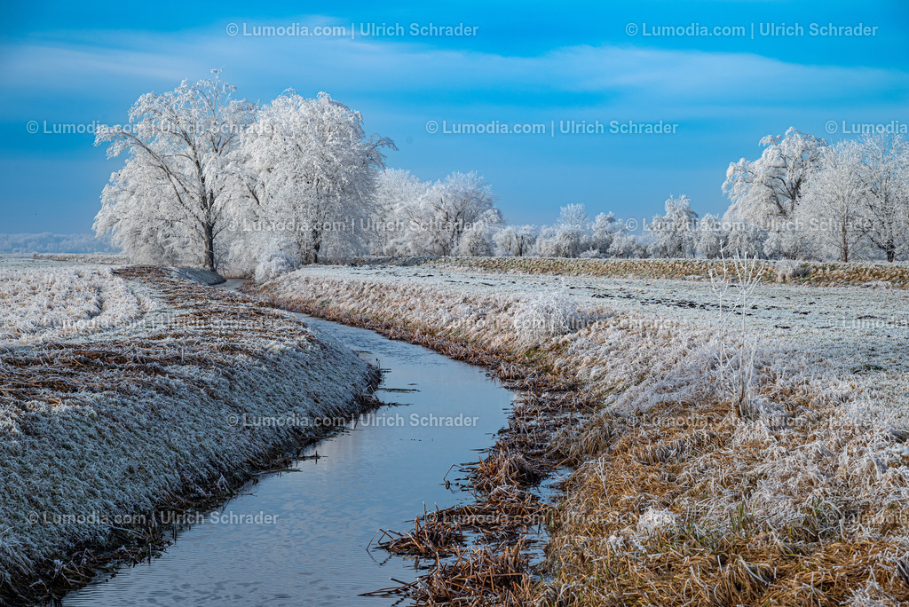 10049-13487 - Winterzauber im Großen Bruch | Stockfoto und Bilderpool mit Bildmaterial aus Deutschland, dem Harz, Halberstadt, Quedlinburg, Wernigerode und weltweit. Qualitativ hochwertige und professionelle Fotos anschauen und kaufen. - Realisiert mit Pictrs.com