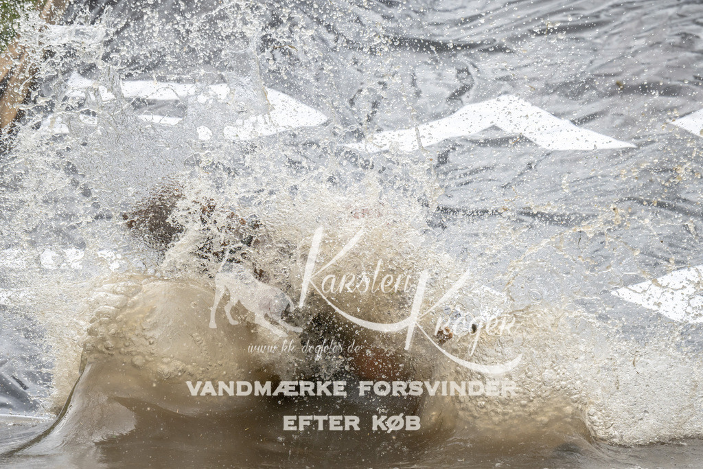 1423_ZZ90316 | kk-dogfotos