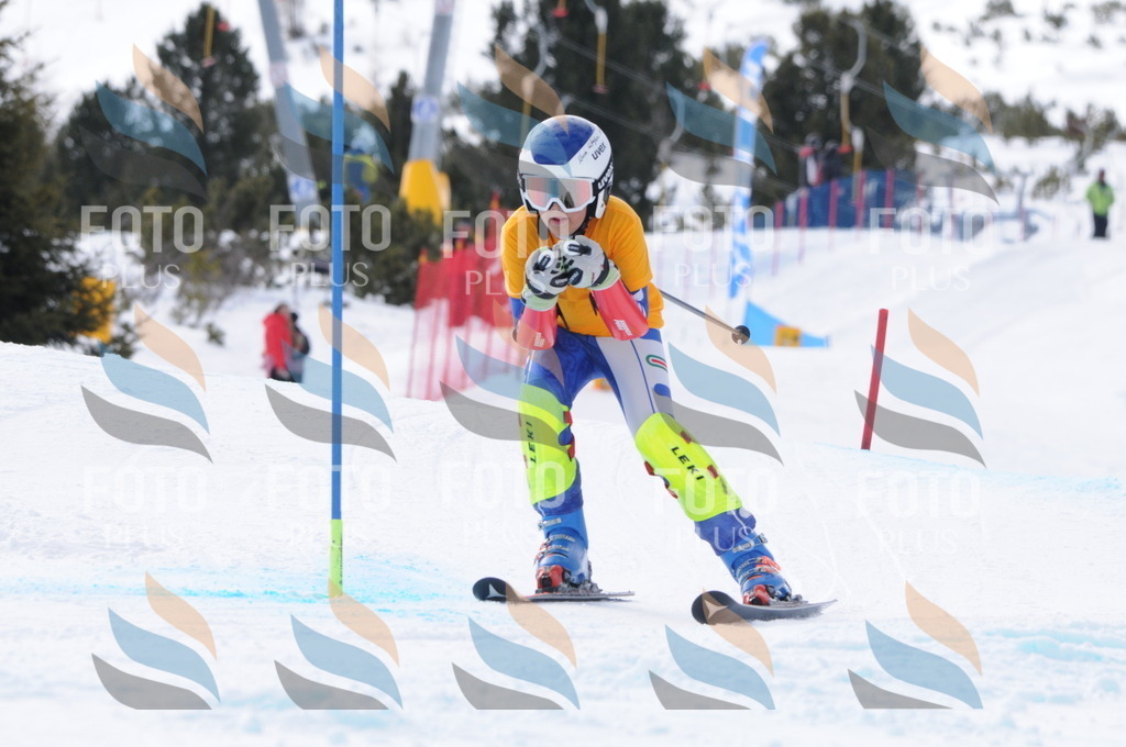 C7523 | holidayphoto