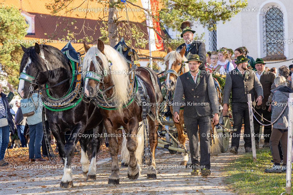 LBT25-1354 | foto-bettina-krinner - Realisiert mit Pictrs.com