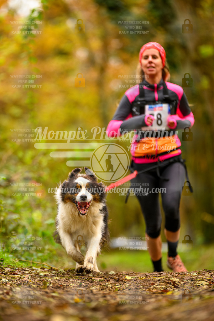 MompixPhotography_Bischwiller24_SA_Canicross-131 | PayLife