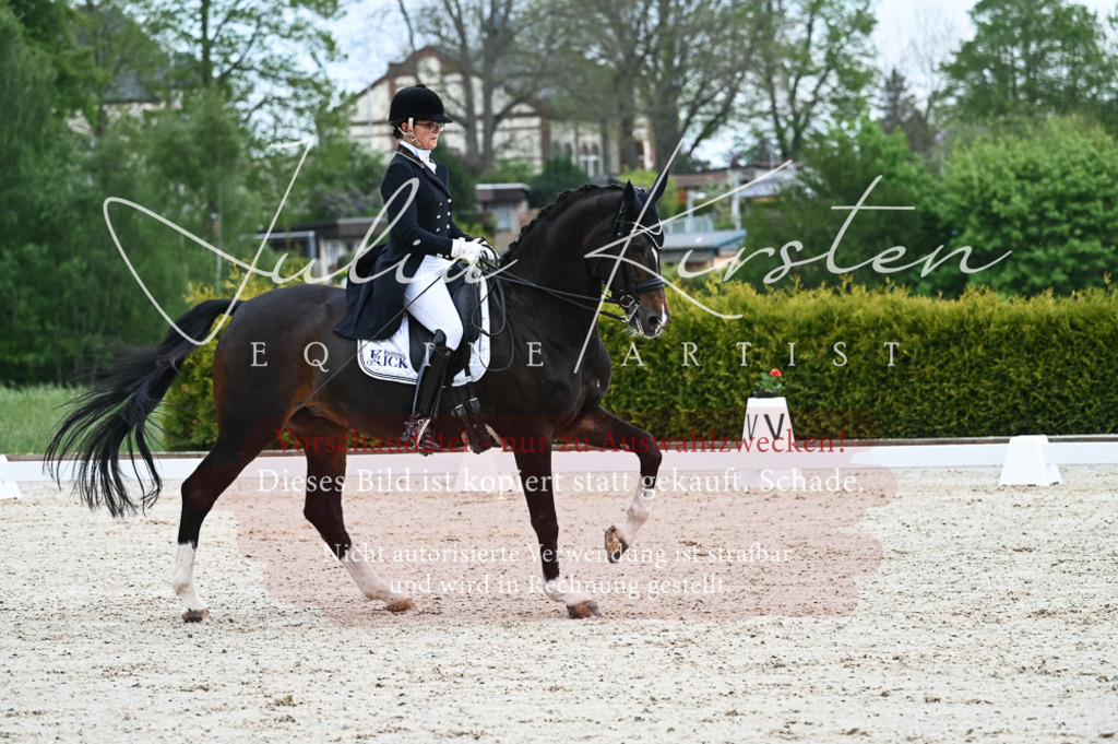20230513_JK-Röhrsdorf-12-129-2 | Pferde- und Turnierfotografie in Westsachsen. Pferdeportraits, Auftragszeichnungen und intuitive Kunst.