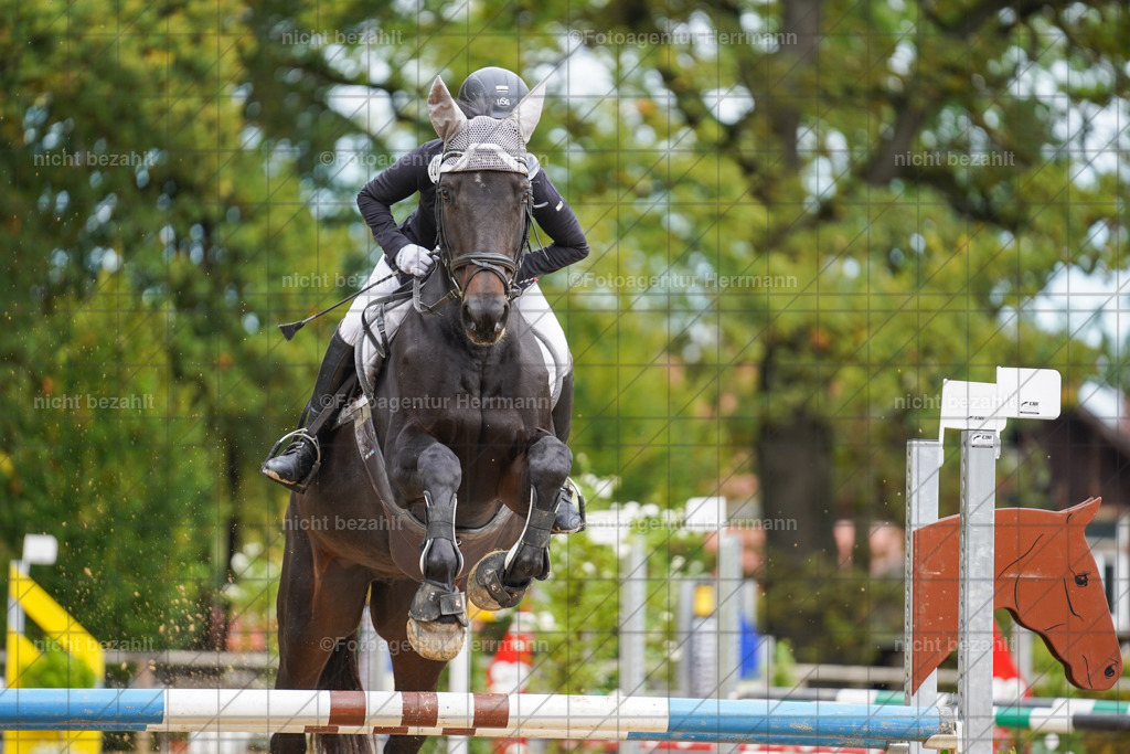 20221009-FAH08664 | Diessen am Ammersee, 2022, Dressur- und Springturnier, Reitsportbilder, Turnierfotografen Bayern, Pferdefotografen, Fotoagentur Herrmann, Turnierbilder