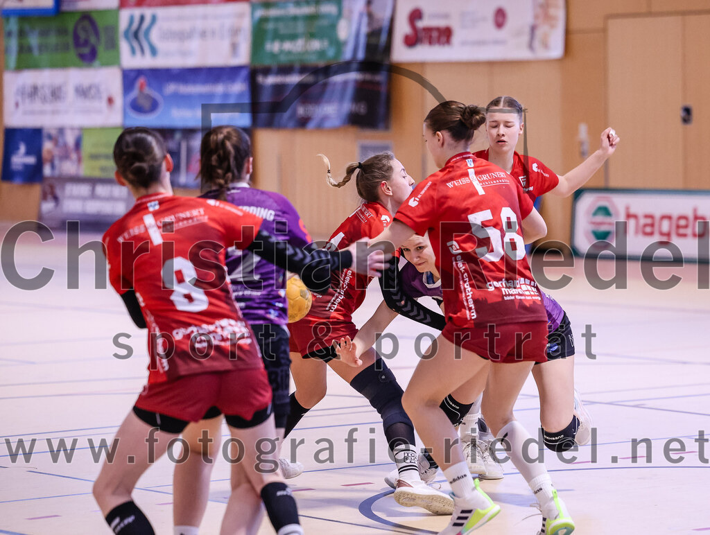 2025-02-22_016_SpVgg_Altenerding_gegen_TG_Landshut | Erding, Deutschland, 22.02.2025:Handball, Bezirksoberliga Frauen Altbayern 2024 / 2024, 15. Spieltag, SpVgg Altenerding gegen TG Landshut, Endergebnis: 25:22Sandra Süß (TG Landshut, #8), Johanna Taubmann (SpVgg Altenerding, #22), Isabella Gschossmann (TG Landshut, #14), Julia Kranich (SpVgg Altenerding, #9), Sophia Steinherr (TG Landshut, #58)Foto: Christian Riedel / fotografie-riedel.net