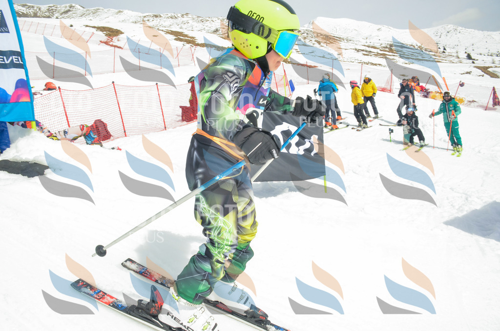 _ELE7802 | holidayphoto