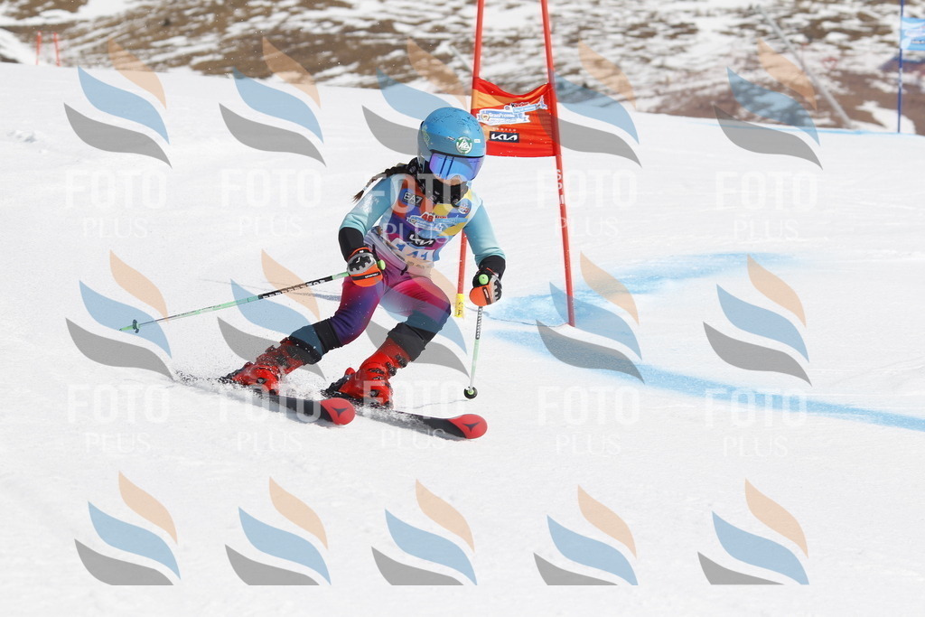 _U3G1055 | holidayphoto