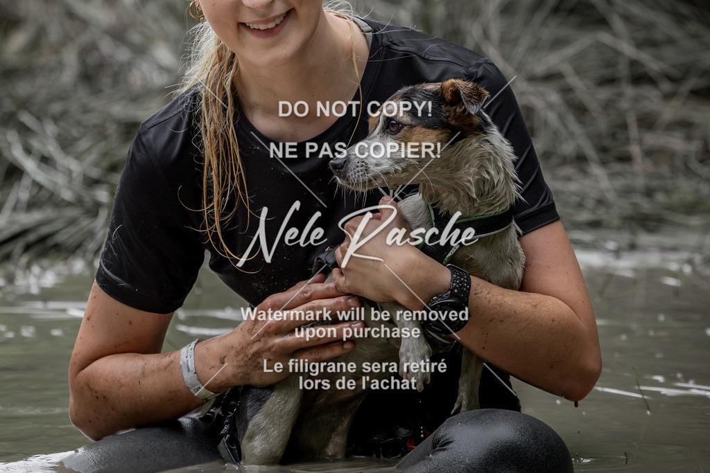 nelerasche_1400-1445_360 | nelerasche