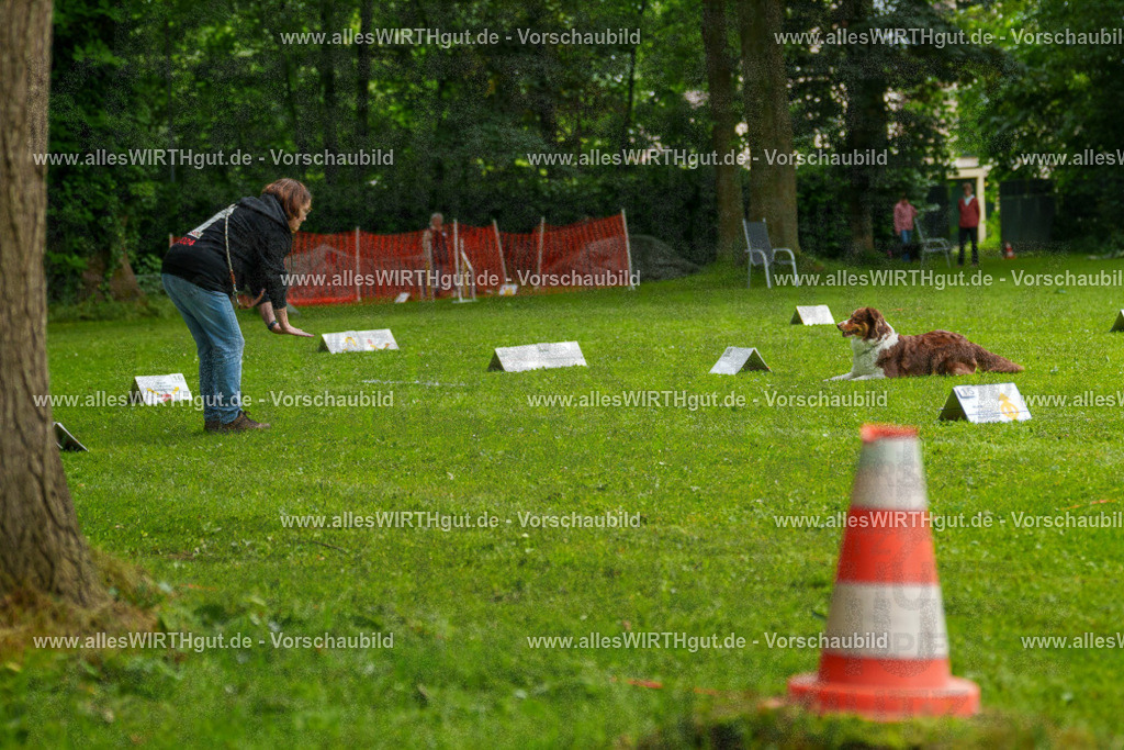 @allesWIRTHgut_Tierfotografie - www.allesWIRTHgut.de - 7R502576 | Professionelle Tierfotografie in Mönchengladbach von Daniel Wirth (allesWIRTHgut). Liebevolle & natürliche Bilder von Hunden & Katzen für unvergessliche Erinnerungen.