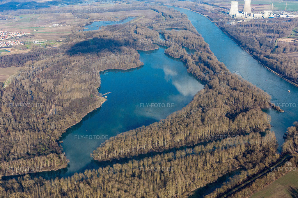 Lingenfelder Altrhein | Luftbild: Lingenfelder Altrhein in Lingenfeld im Bundesland Rheinland-Pfalz in Deutschland. Foto: IMG_104766.jpg vom 16.02.2018 durch Werner Riehm/FLY-FOTO.de - Realisiert mit Pictrs.com