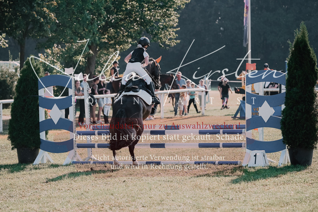 DSC_4460 | Pferde- und Turnierfotografie in Westsachsen. Pferdeportraits, Auftragszeichnungen und intuitive Kunst.