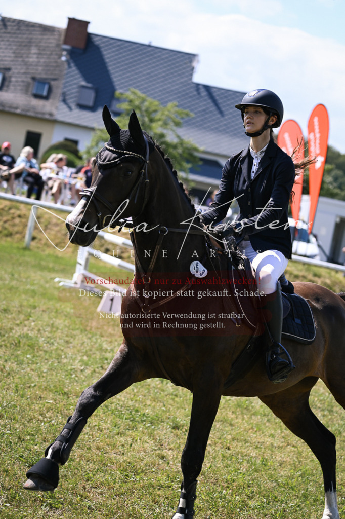 DSC_0455 | Pferde- und Turnierfotografie in Westsachsen. Pferdeportraits, Auftragszeichnungen und intuitive Kunst.