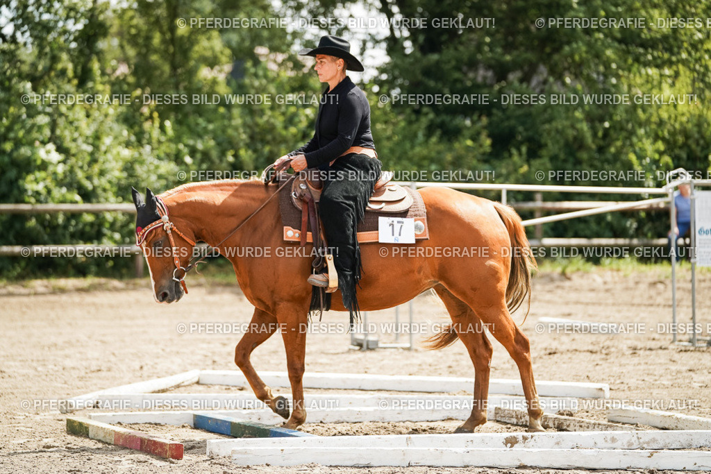 DSC05993 | Pferdegrafie