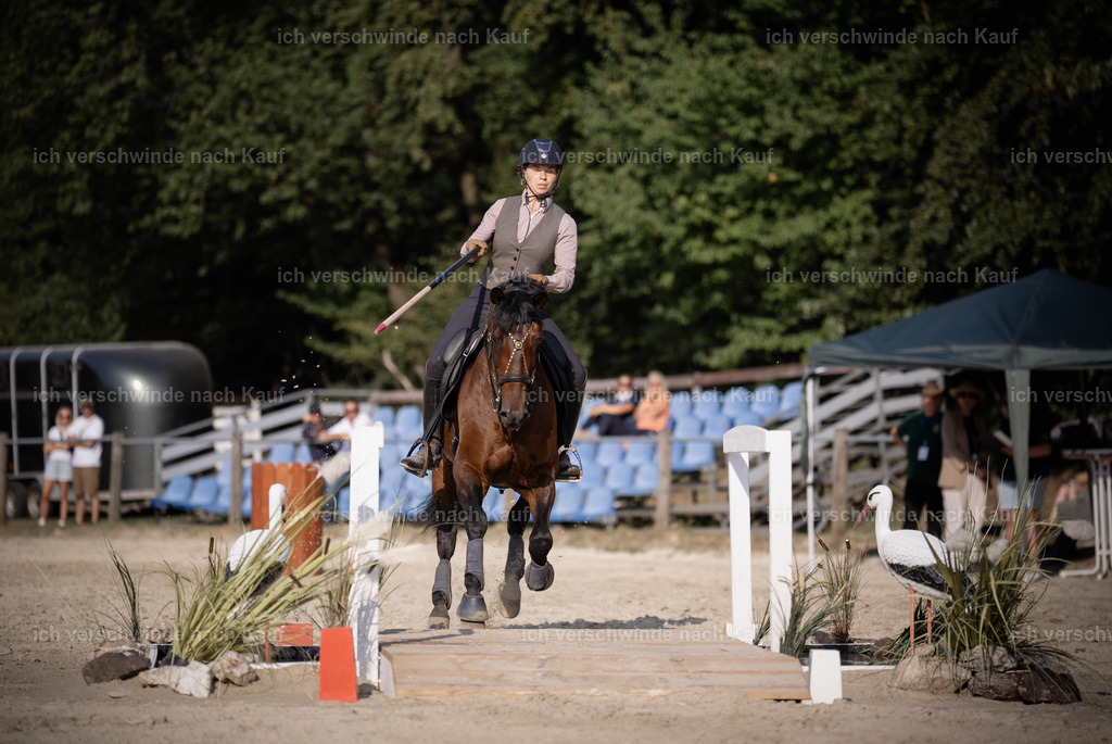 WS_SP_46_Stoibphotography_SO12405 | working equitationturnier fotograf videograf stoibphotography marixx film working equitation deutschland reitsport turnierfotografie eventfotografie equestrian events