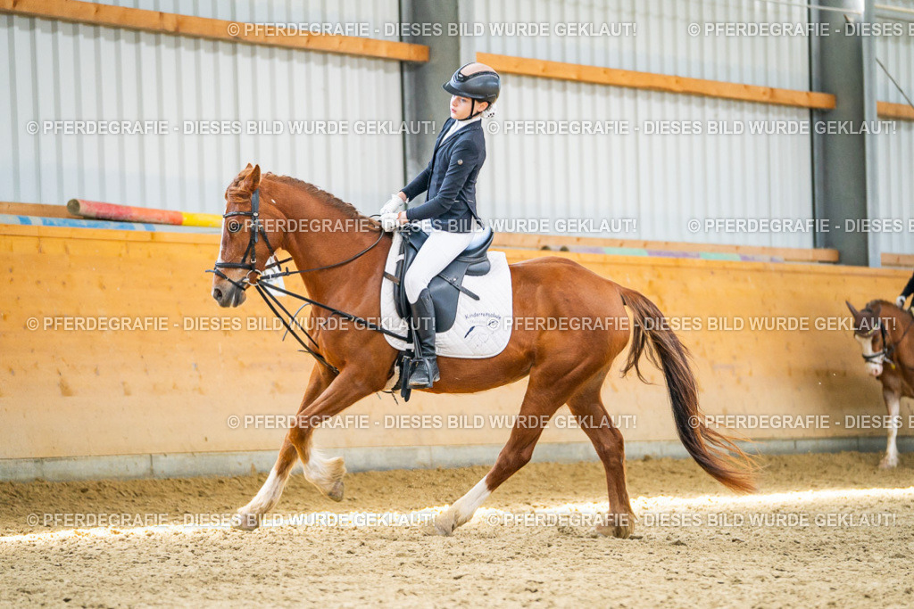 DSC02970 | Pferdegrafie