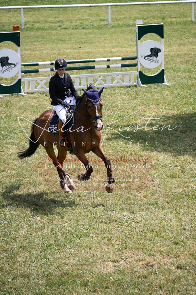 DSC_9524 | Pferde- und Turnierfotografie in Westsachsen. Pferdeportraits, Auftragszeichnungen und intuitive Kunst.