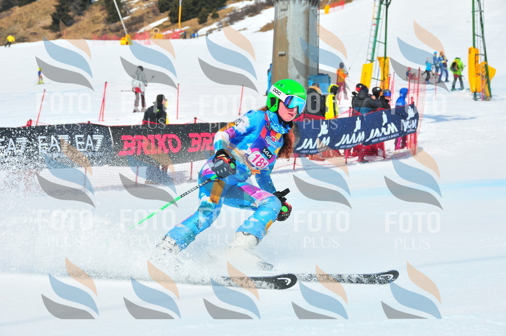 DSC_5367 | holidayphoto