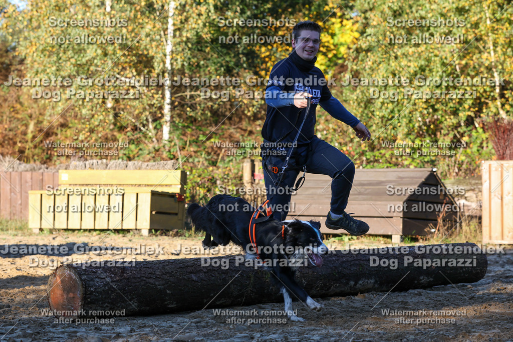 Dog Paparazzi - Strongdog 10-25-956 | Dog Paparazzi Jeanette Grottendiek Fotografie & Videografie - Realisiert mit Pictrs.com