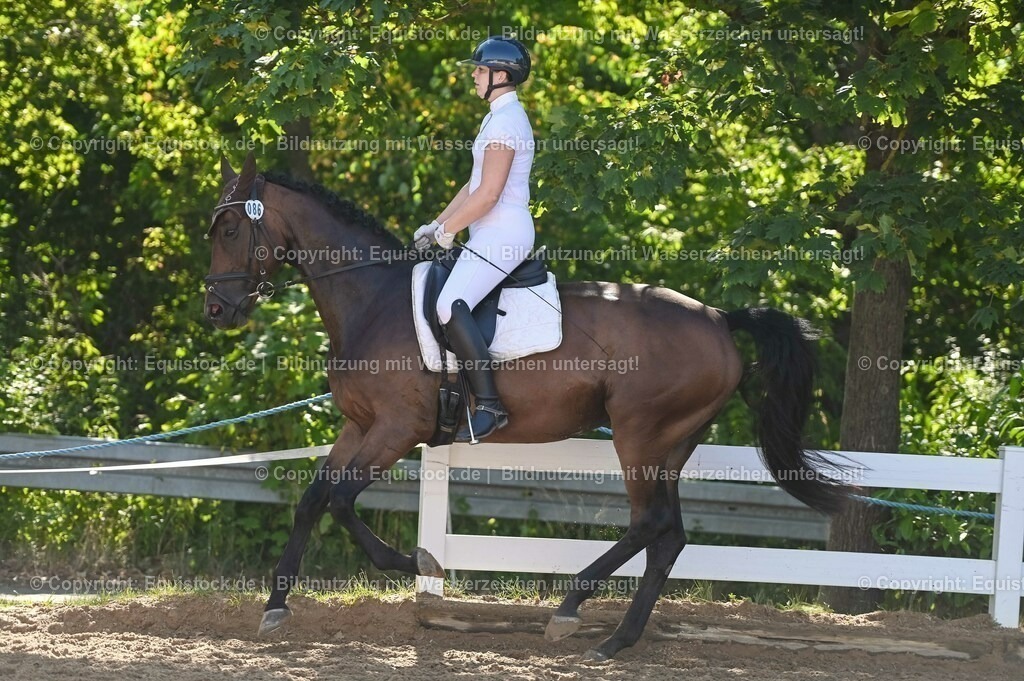 20230715_06_Dressurpferdeprfg. Kl.A_0288 | equistock