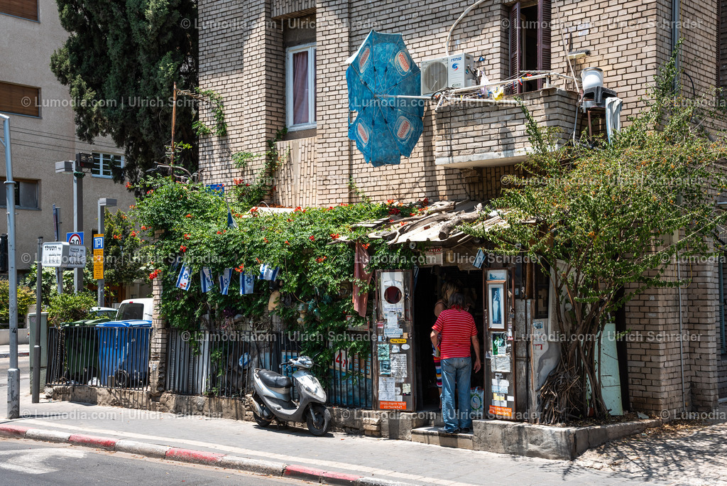 10972-10144 - Tel Aviv - Rothschild Boulevard | Stockfoto und Bilderpool mit Bildmaterial aus Deutschland, dem Harz, Halberstadt, Quedlinburg, Wernigerode und weltweit. Qualitativ hochwertige und professionelle Fotos anschauen und kaufen. - Realisiert mit Pictrs.com