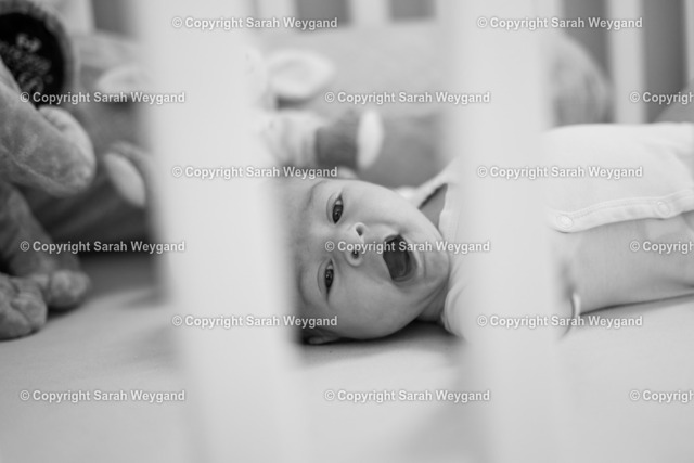 SWY02587 | Sari Weygand Fotoshop - Realisiert mit Pictrs.com