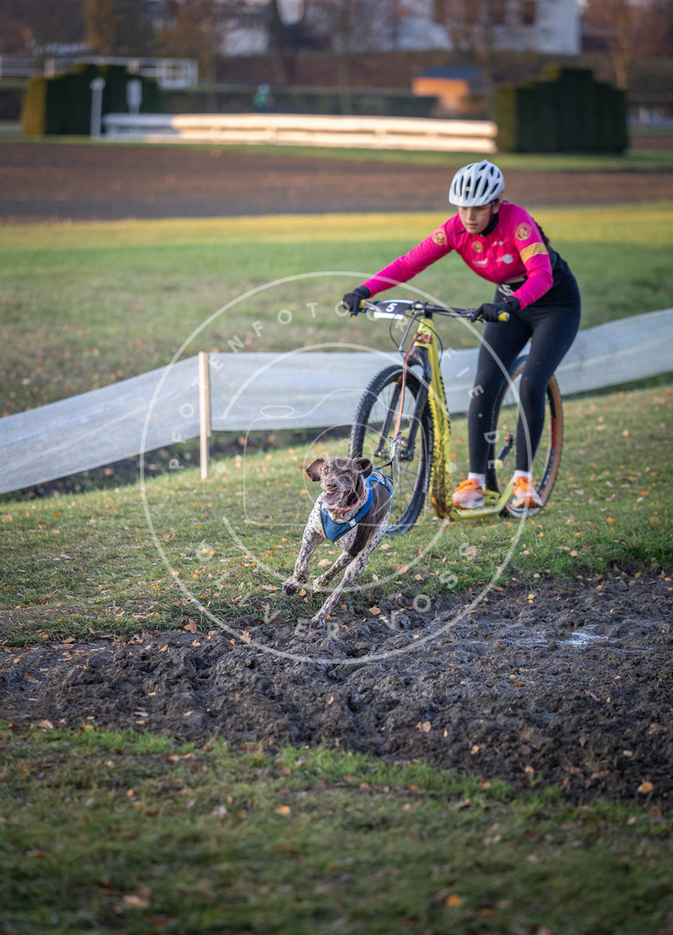 CaniXpix_DV3A9317 | Hundefotografie, Tierfotograf, Pfotenfotografie, Fotoshooting Hund, Hunde Portrait, Hundesport, Hundeportraits, Heideshooting, Hunde, Sportfotograf, Hundefotograf, Turnierhundsport, THS,  - Realisiert mit Pictrs.com