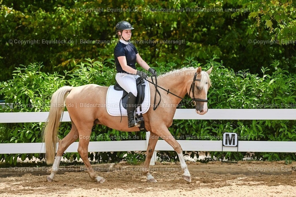 20230715_09_Dressur-WB_0543 | equistock