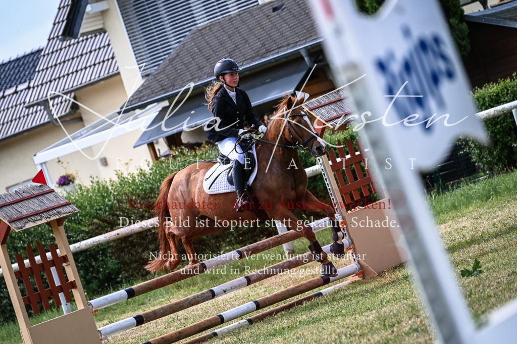 DSC_8587 | Pferde- und Turnierfotografie in Westsachsen. Pferdeportraits, Auftragszeichnungen und intuitive Kunst.