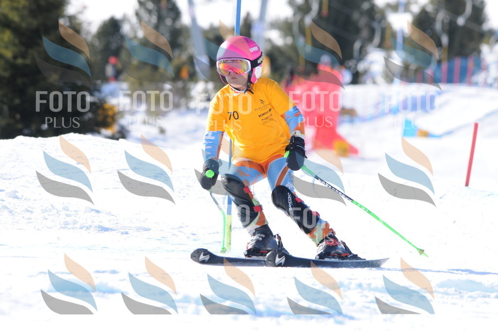 C6950 | holidayphoto