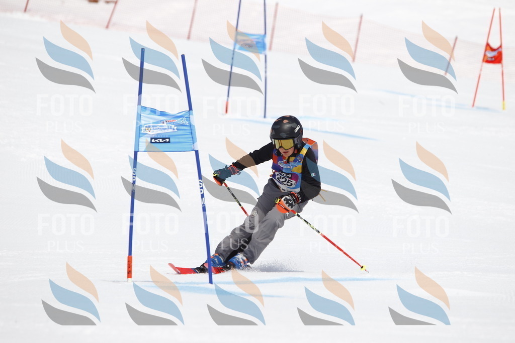 _U3G5799 | holidayphoto