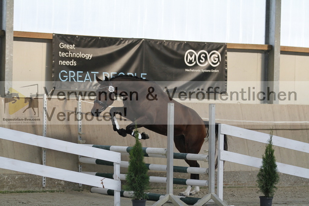 _MG_0948 | equestrian-live-com