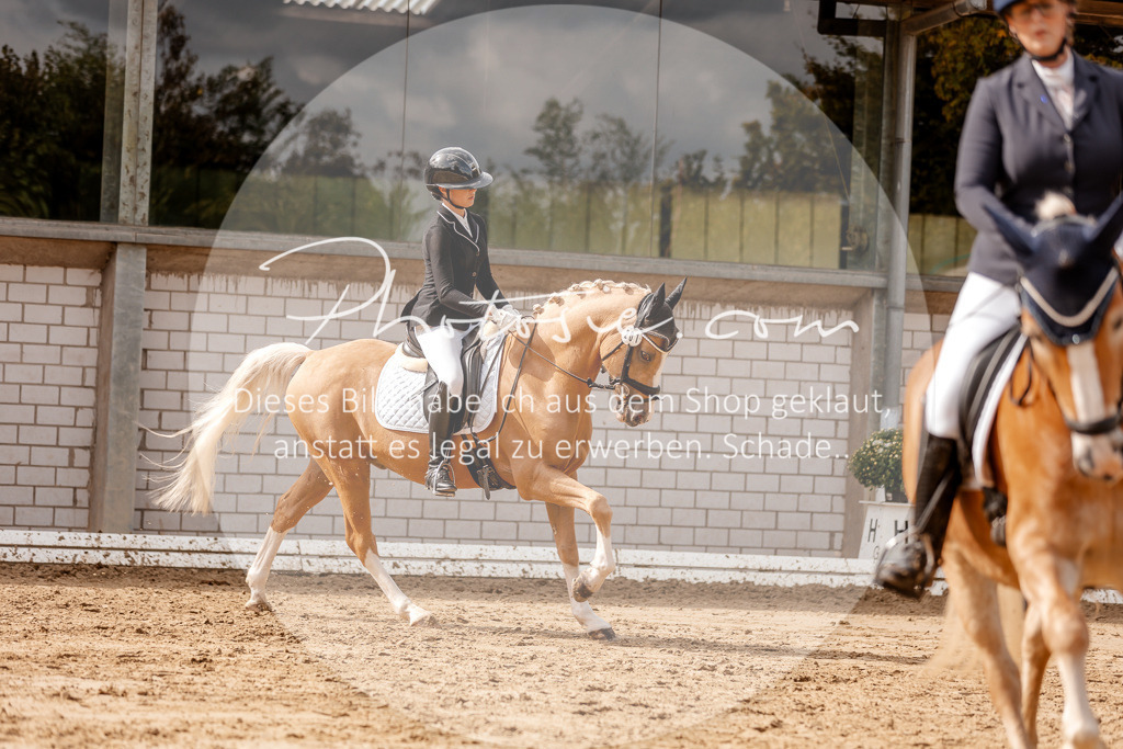3I6A7341 | Stimmungsvolle Portraits und Reitsportfotografie im Ruhrgebiet und im Münsterland.

Pferdefotografie, Hundefotografie, Tierfotografie, Reportagen, Portraits von Tier und Mensch, Turnierfotografie in Bochum, Recklinghausen, Marl, Haltern am See, Dülmen.. - Realisiert mit Pictrs.com